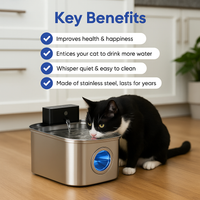 BlushyPaws Hydration Fountain