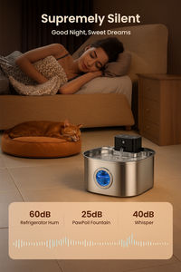 BlushyPaws Hydration Fountain