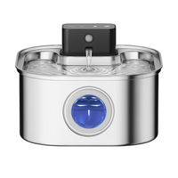 BlushyPaws Hydration Fountain