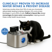 BlushyPaws Hydration Fountain