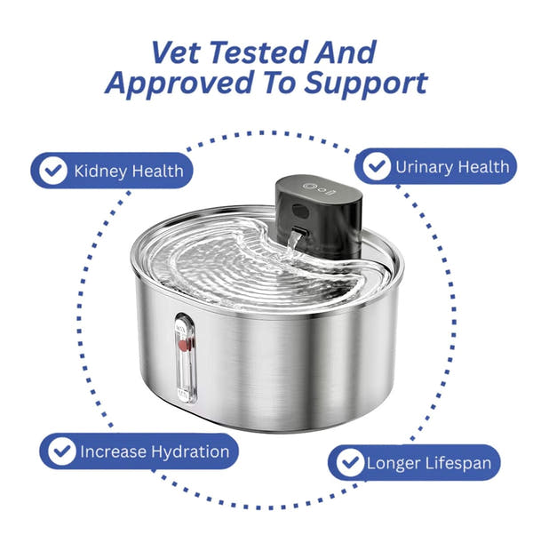 BlushyPaws Hydration Fountain