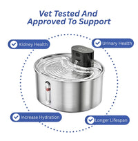 BlushyPaws Hydration Fountain