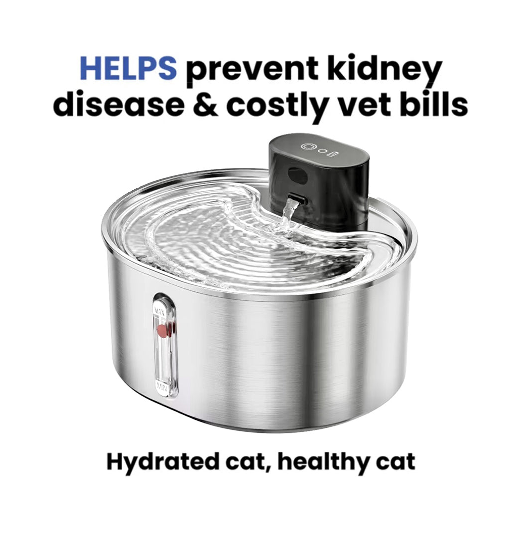 BlushyPaws Hydration Fountain